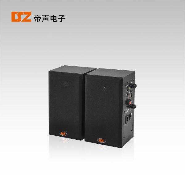 有源音箱DS-102Y
