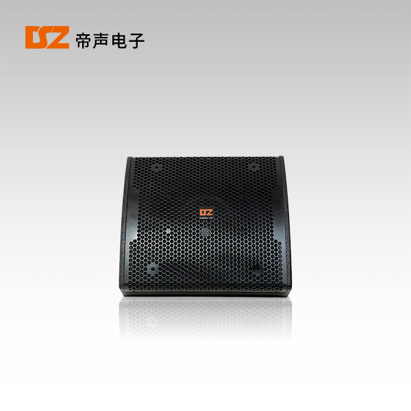 15寸同軸返聽音箱DS-FM15