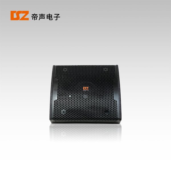 15寸同軸返聽(tīng)音箱DS-FM15