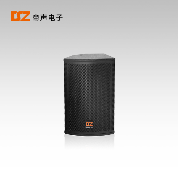 專業(yè)音箱DS-F312