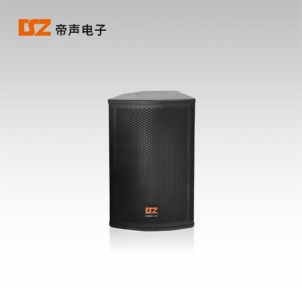 專(zhuān)業(yè)音箱DS-F312