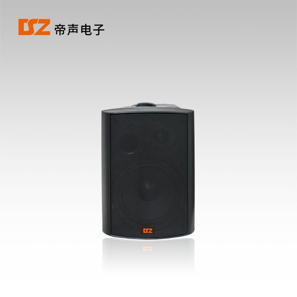 壁掛音箱DS-B203S