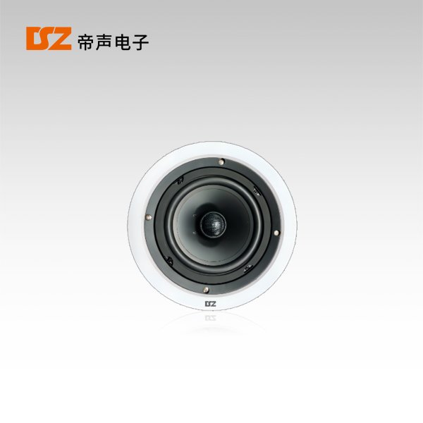 吸頂揚(yáng)聲器DS-T260R