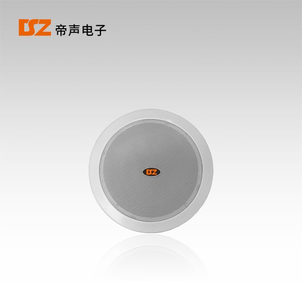 天花喇叭DS-T206S