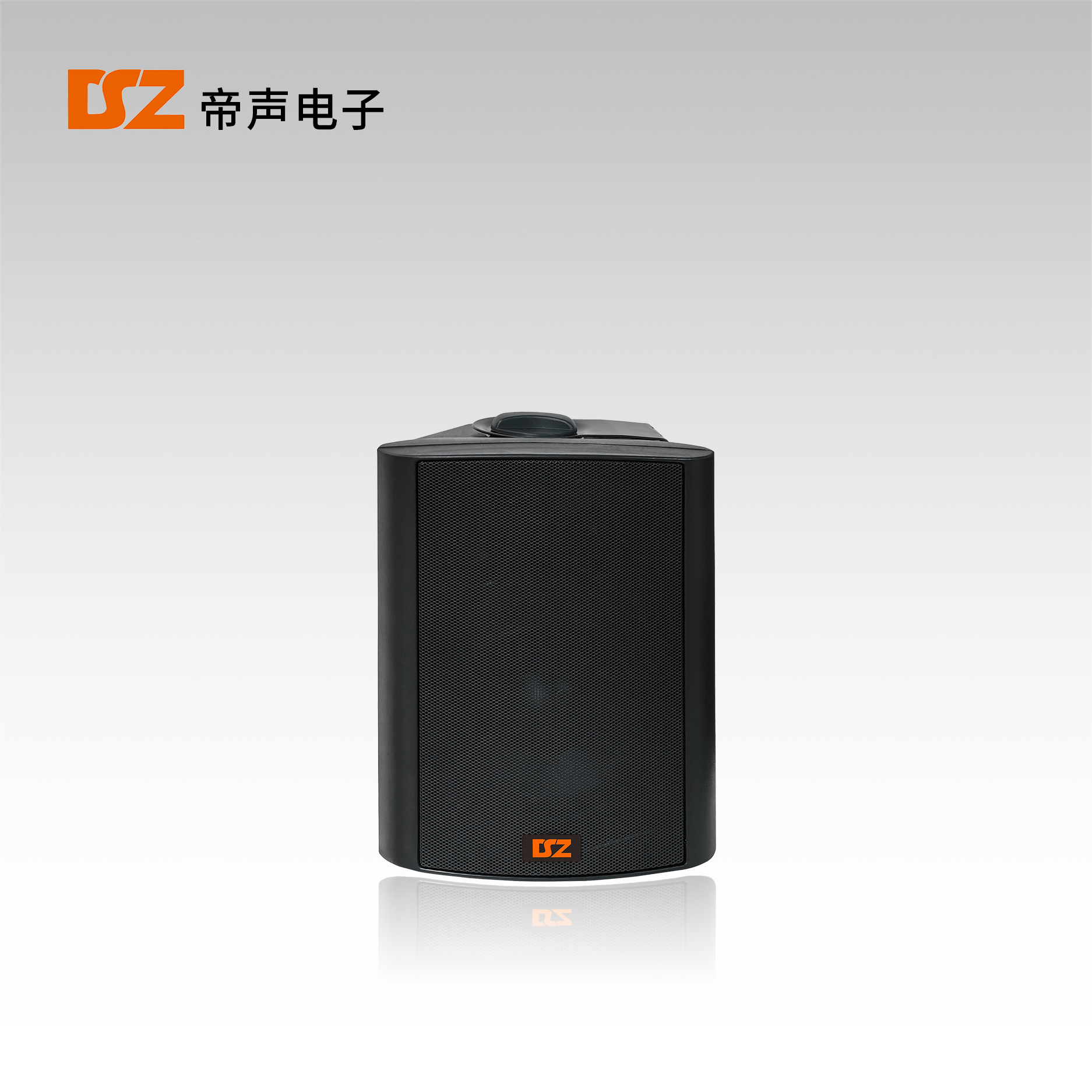 壁掛音箱DS-B202S