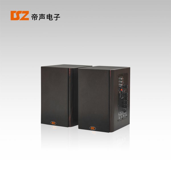 有源音箱DS-125Y