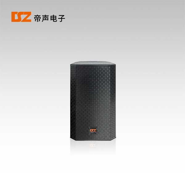 專(zhuān)業(yè)音箱DS-R310、DS-R312、DS-R315