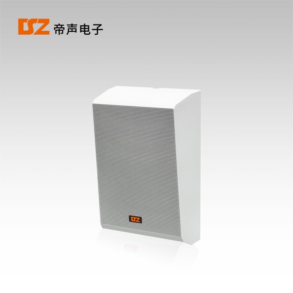 壁掛音箱DS-B102