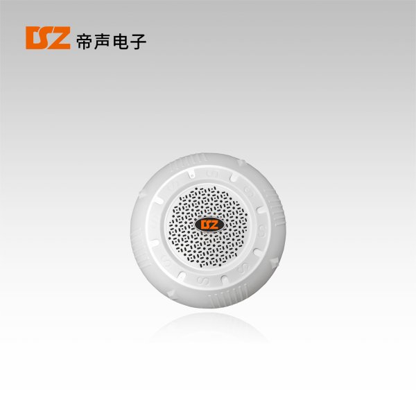 明裝天花喇叭DS-T205M
