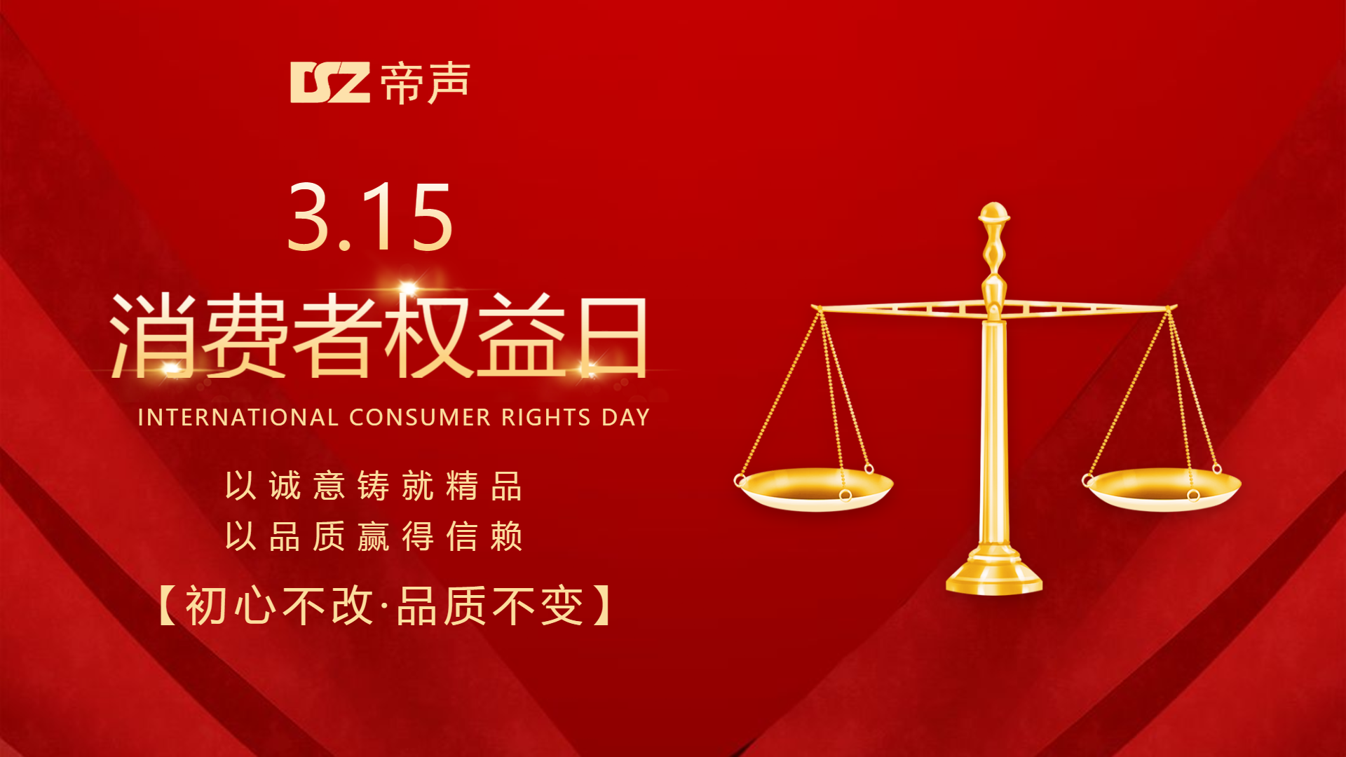 315 | DSZ 帝聲電子，品質(zhì)堅(jiān)守，與您同行