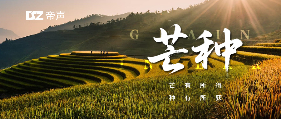 【芒種時節(jié)，萬物競秀】DSZ帝聲電子，以匠心為種，以創(chuàng)新為壤，培育校園智能廣播的蓬勃未來。