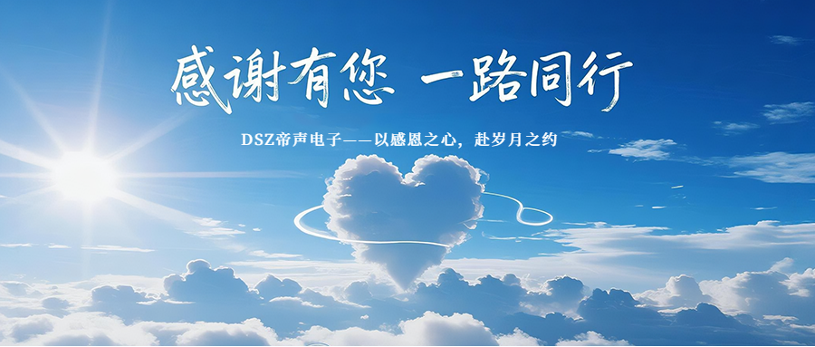 DSZ帝聲電子：感恩同行，共赴新程