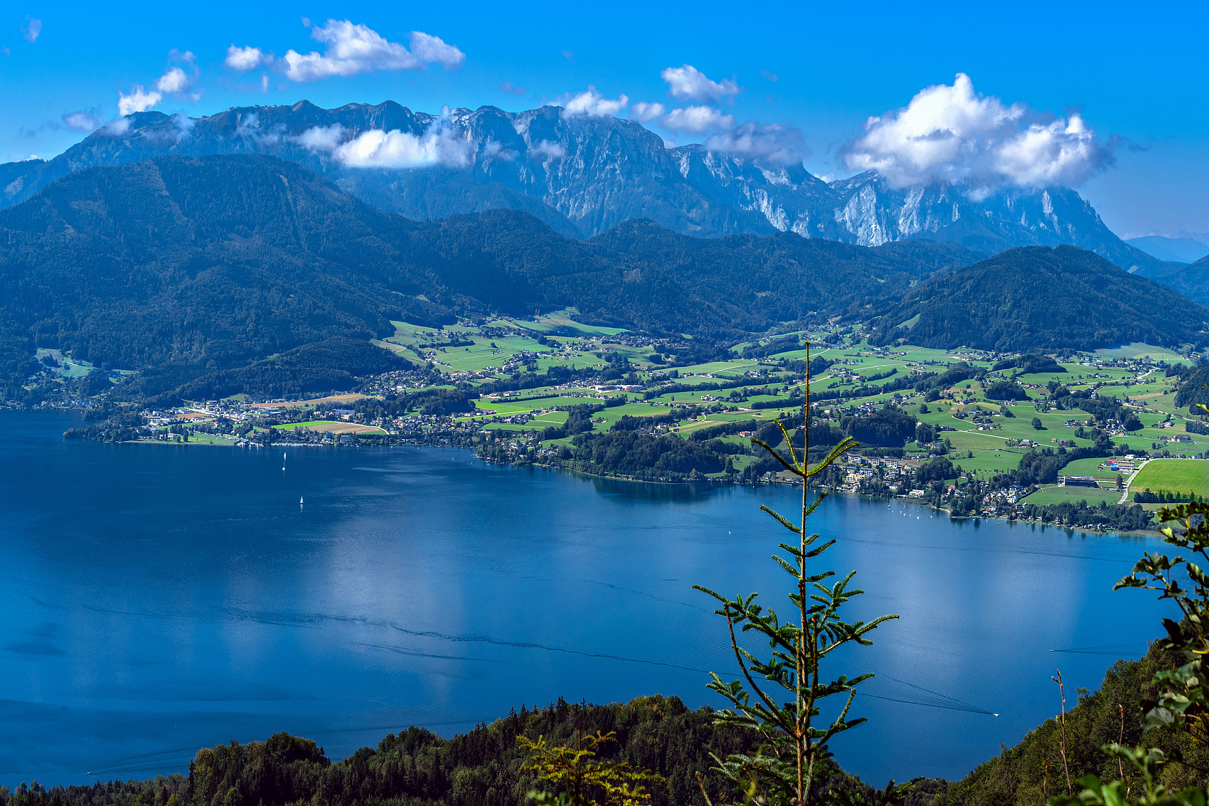 水質(zhì)監(jiān)測行業(yè)技術(shù)革新加速