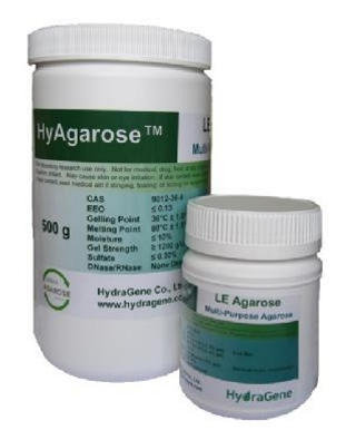 HyAgarose瓊脂糖