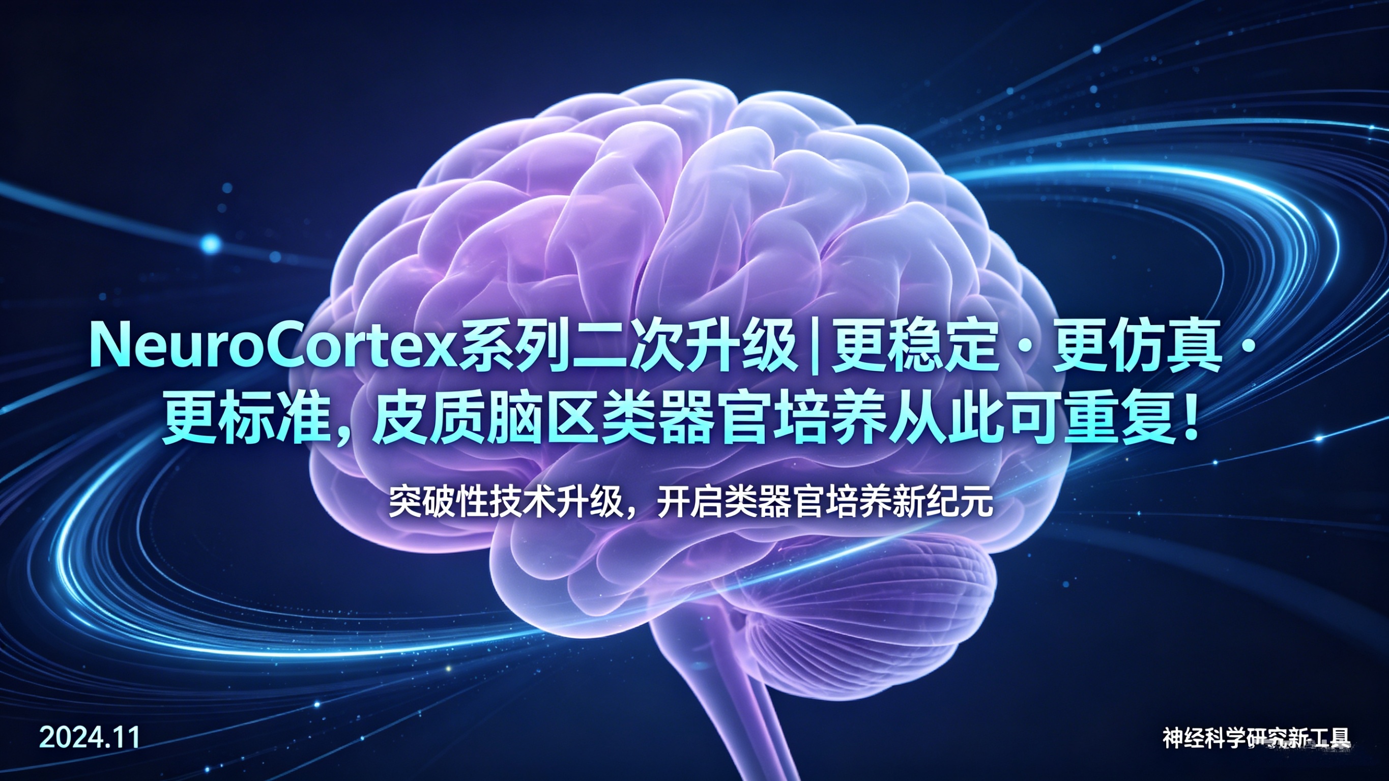 Neocortex Chinese NeuroCortex 系列二次升级|更稳定・更仿真・更标准,皮质脑区类器官培养从此可重复!_杭州昊鑫生物科技股份有限公司