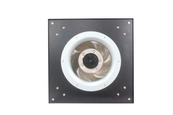 EC355A1