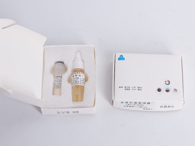 表皮葡萄球菌种销售电话 抱诚守真 南京乐诊生物技术供应;