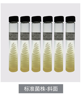 大肠埃希菌[CMCC(B)44102][大肠埃希氏菌][大肠杆菌](斜面)_南京乐诊生物技术有限公司