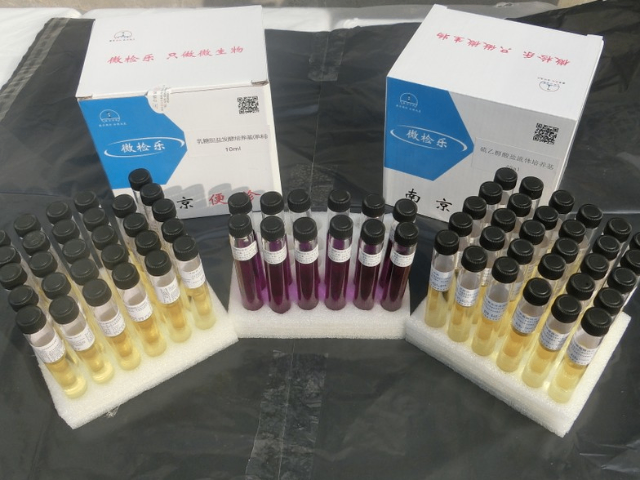 产酸克雷伯菌种销售厂家 创新服务 南京乐诊生物技术供应;