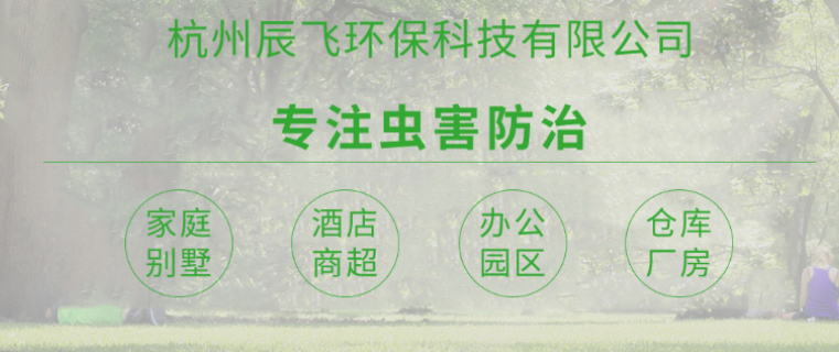 南京工厂上门白蚁防治较好方法 真诚推荐 杭州辰飞环保科技供应