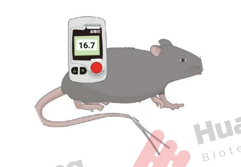 Fa2e817892707171c0640d9649df34e4