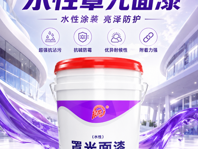 上海内墙建筑罩面陶瓷漆价格