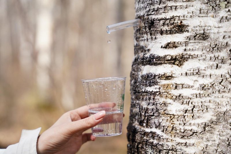 膜分离技术在桦树汁浓缩中的应用
