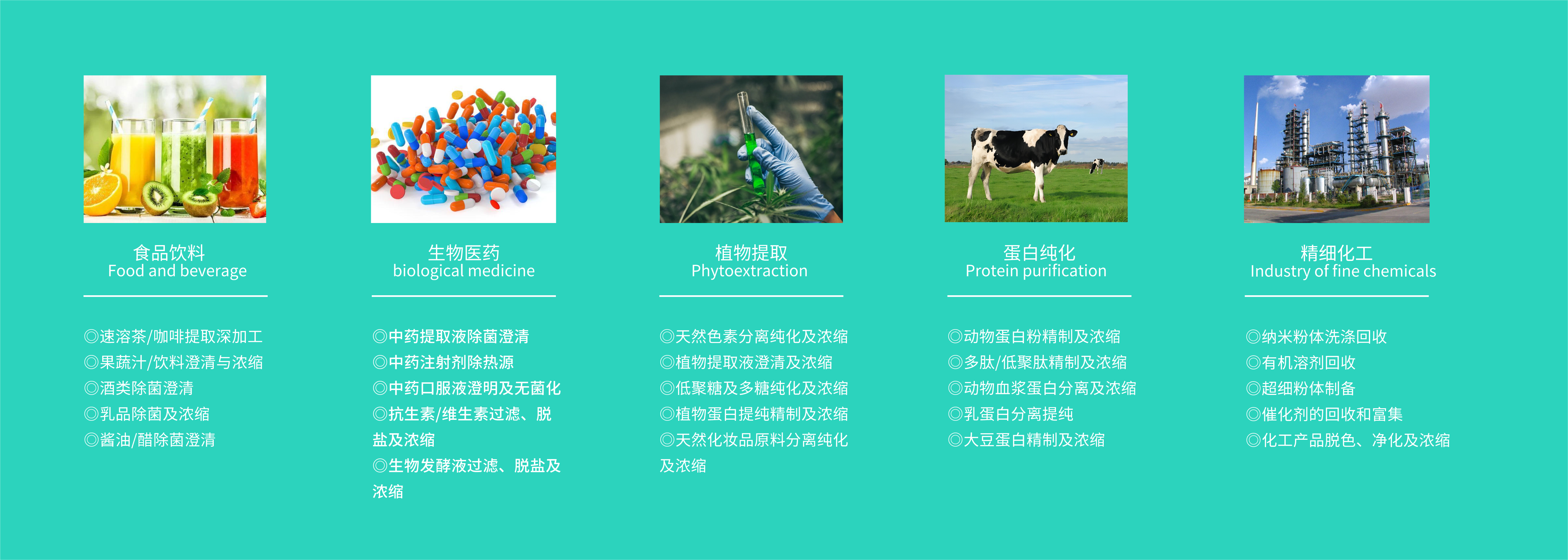 應用領域
