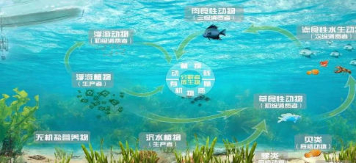 靜安區微型PIN-NET薄層原位修復技術