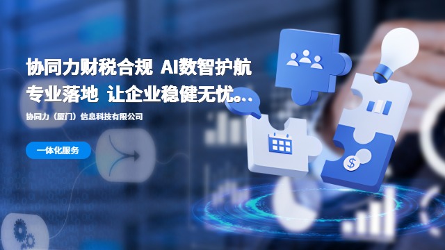 泉州集團(tuán)財(cái)稅合規(guī)定制 協(xié)同力廈門信息科技