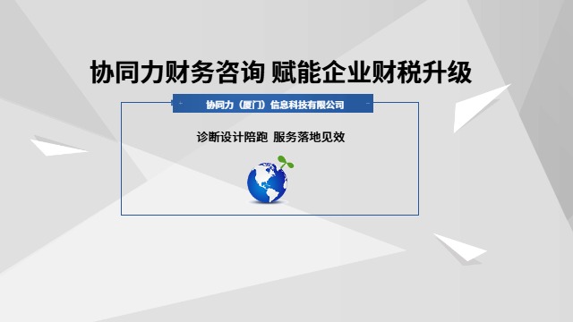 协同化财务咨询陪跑,财务咨询