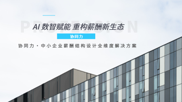 湖里區(qū)合規(guī)性薪酬結(jié)構(gòu)設(shè)計(jì)實(shí)施流程 協(xié)同力廈門(mén)信息科技;