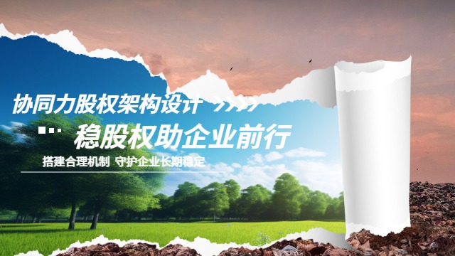 厦漳泉代运营股权架构设计规范,股权架构设计