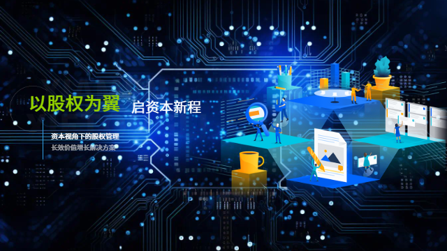 Pre-IPO 企业股权价值管理落地实施服务,股权价值管理