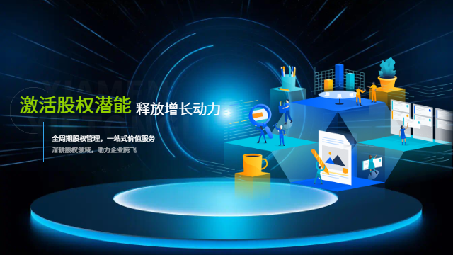 税务成本优化股权价值管理风险评估报告,股权价值管理