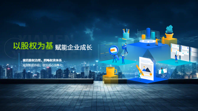 税务成本优化股权价值管理风险评估报告,股权价值管理