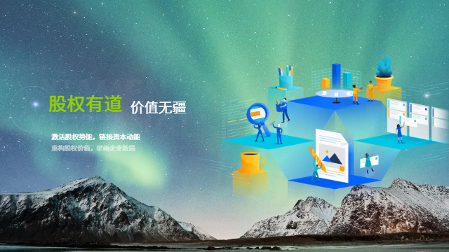 税务成本优化股权价值管理风险评估报告,股权价值管理