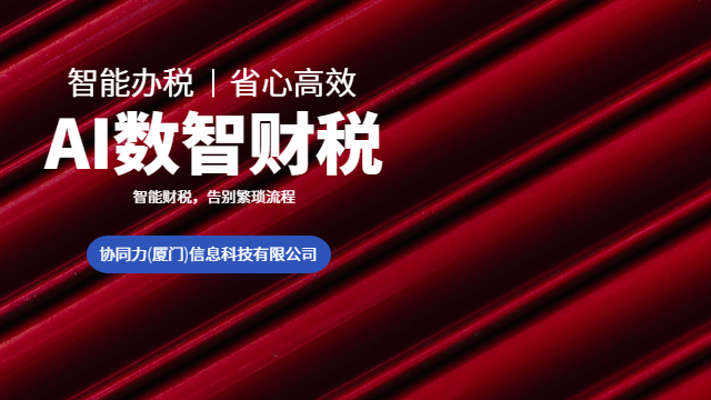 泉州融资效率提升智能财税服务落地实施服务,智能财税服务
