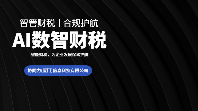 泉州融资效率提升智能财税服务落地实施服务,智能财税服务