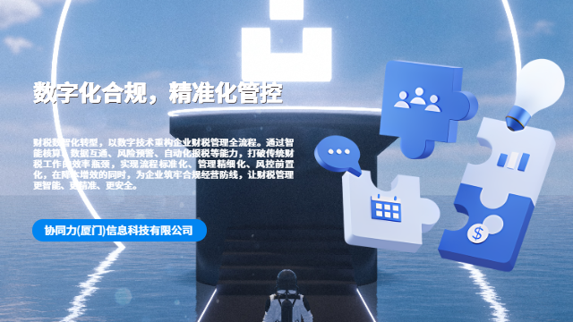 福建治理结构完善财税数智化转型风险评估报告