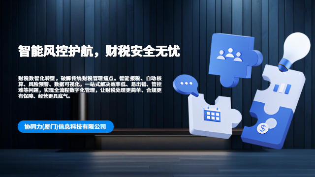 泉州中小企业财税数智化转型上市合规保障,财税数智化转型