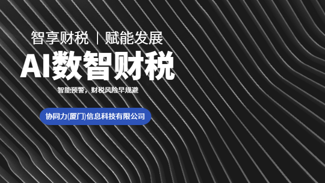 泉州融资效率提升智能财税服务落地实施服务,智能财税服务