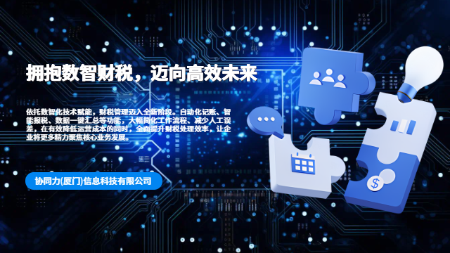 跨境业务适配财税数智化转型落地实施服务