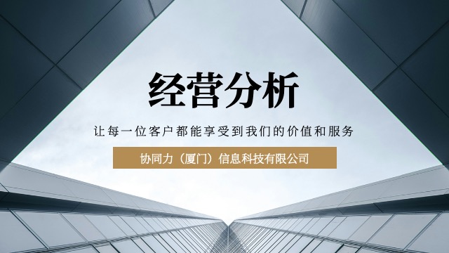 漳州经营分析分析模板,经营分析