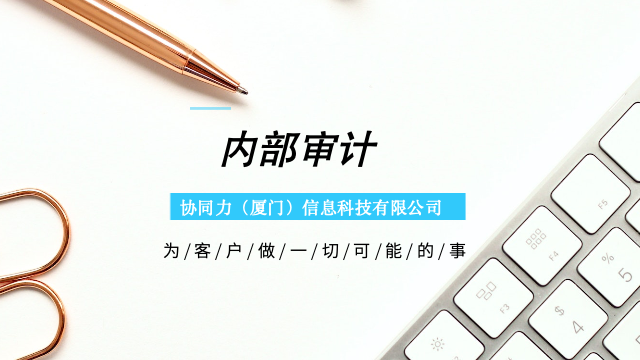 泉州投资内部审计优化成本,内部审计