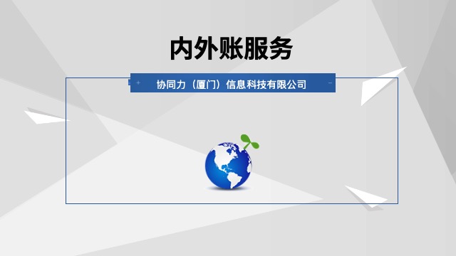 泉州中小企业内外账服务风险规避,内外账服务