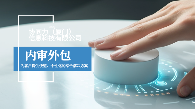 前期内审外包经营模型,内审外包