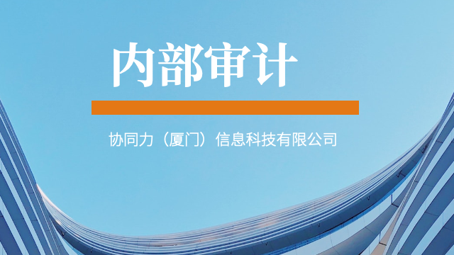 厦门一对一内部审计落地方案合规保障,内部审计