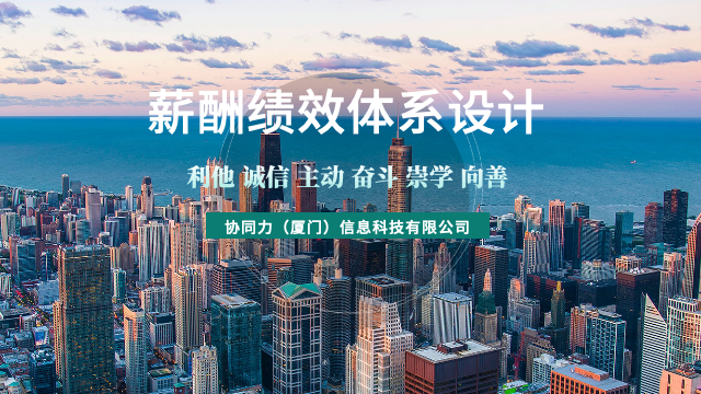 后期薪酬绩效体系设计报告体系,薪酬绩效体系设计