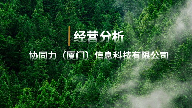 漳州经营分析分析模板,经营分析